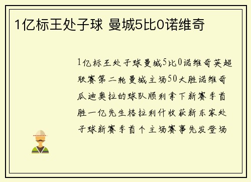 1亿标王处子球 曼城5比0诺维奇