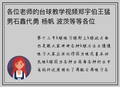 各位老师的台球教学视频郑宇伯王猛男石鑫代勇 杨帆 波茨等等各位